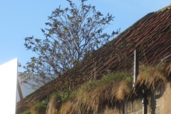 Adam Smith Close - Before Restoration, Kirkcaldy